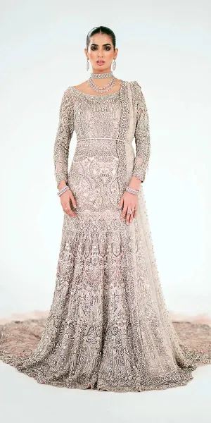 Pakistani Bridal Dress in Royal Embellished Gown Style