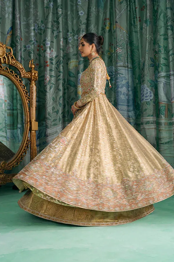 Pakistani Bridal Dress in Wedding Gown Dupatta Style