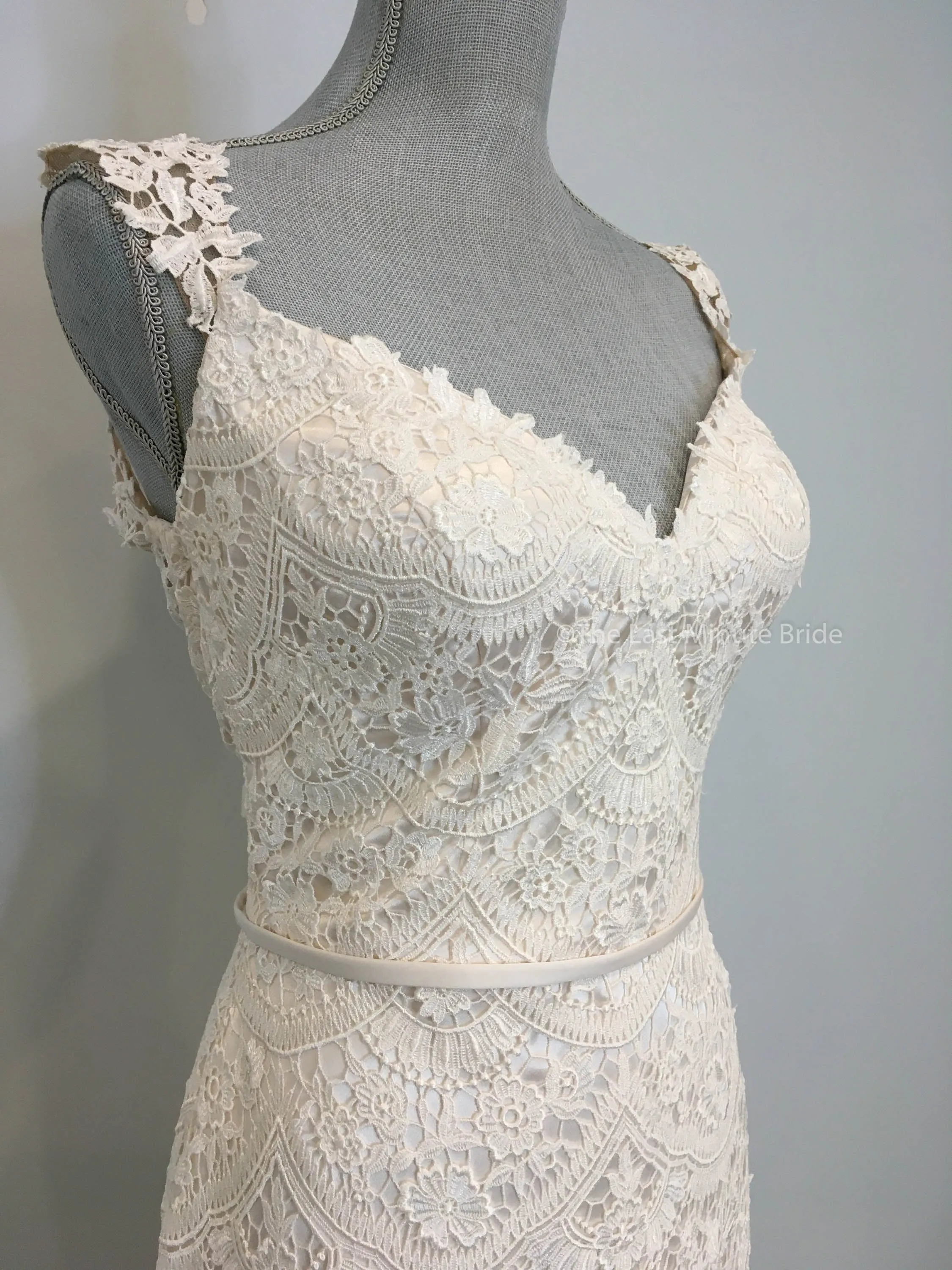 Paloma Blanca 4840