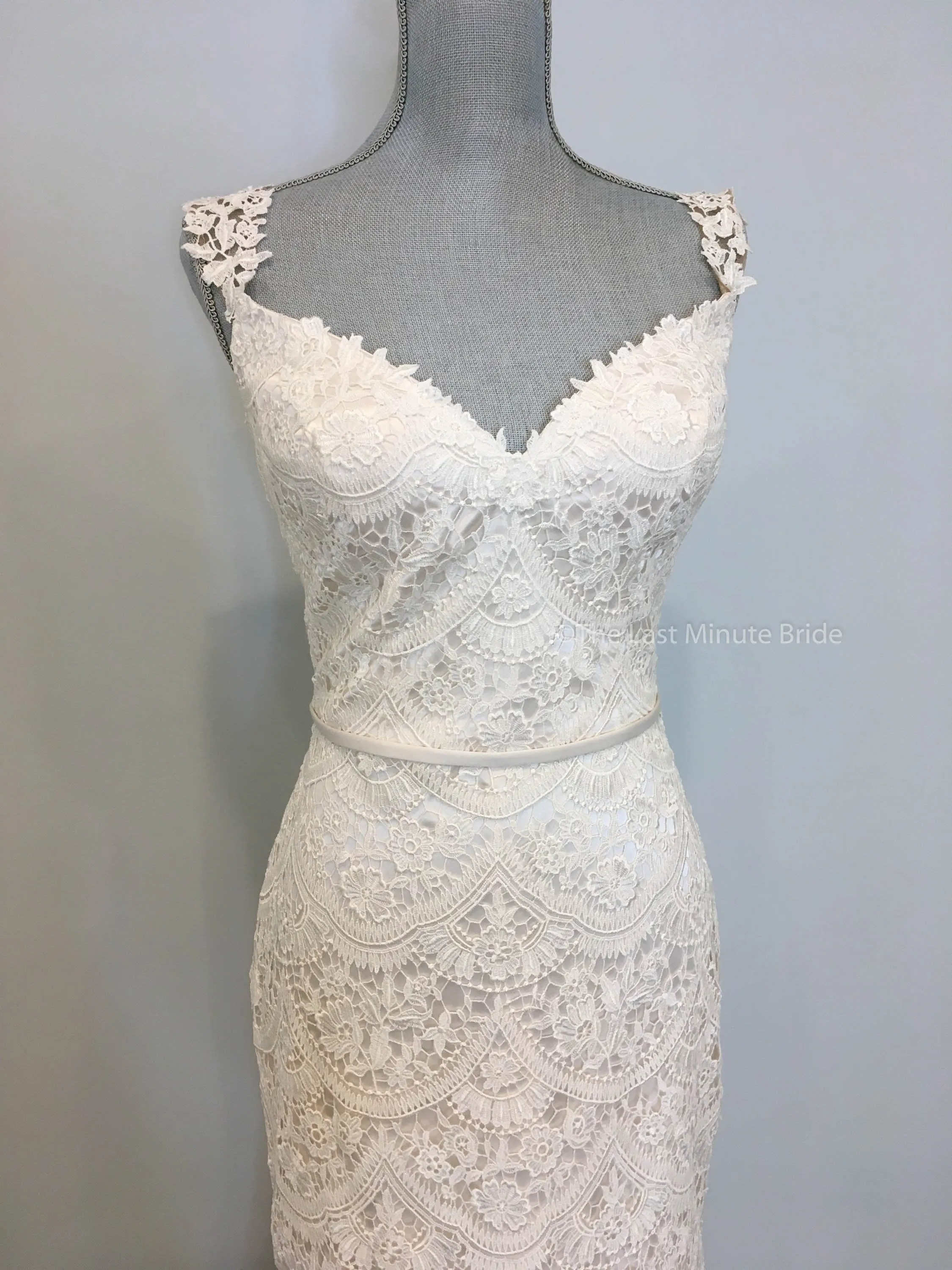 Paloma Blanca 4840