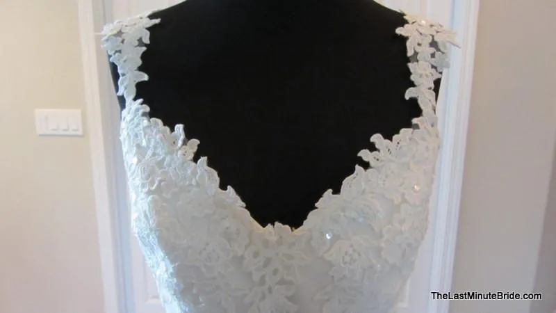 Pronovias Land