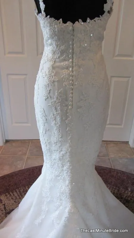 Pronovias Land