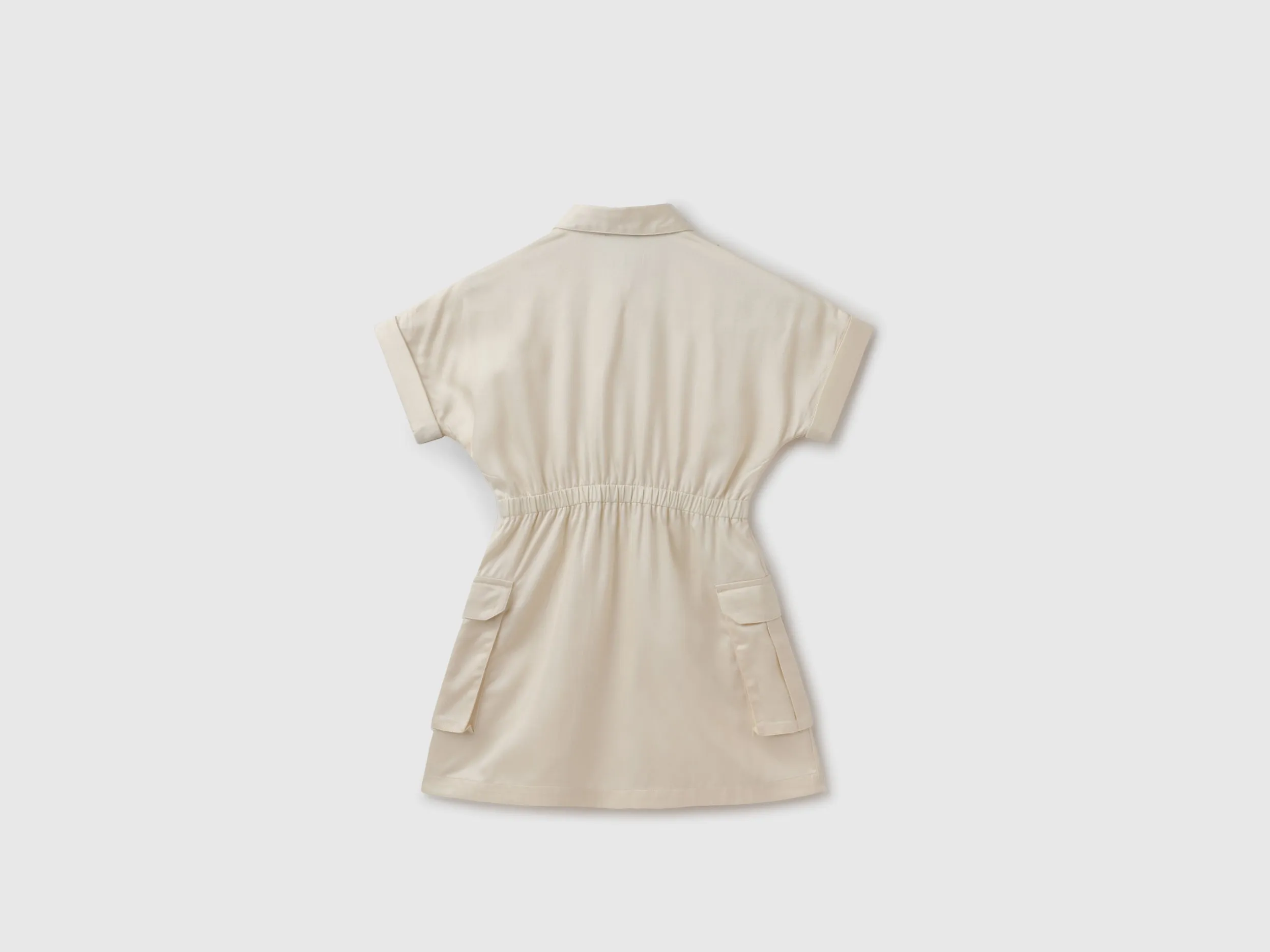 Regular Fit Spread Collar Solid Fit and Flare Dress