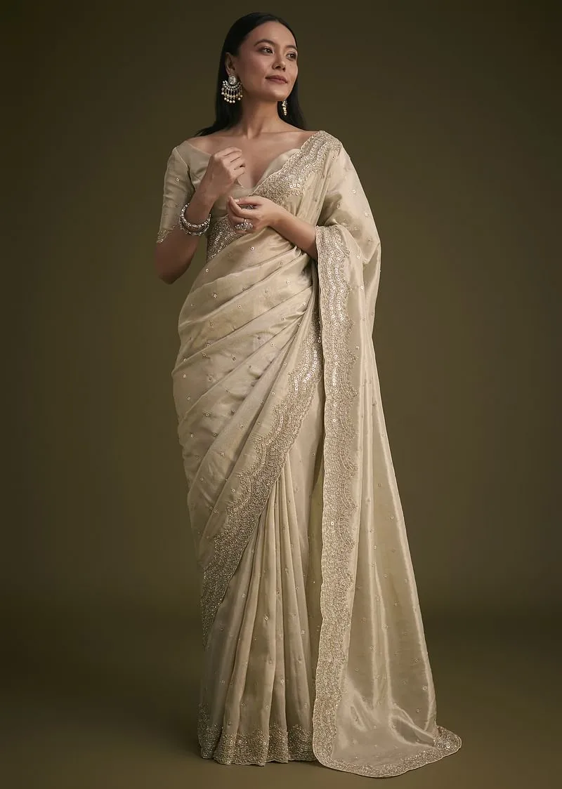 Silver Tissue Saree With Embroidered Border