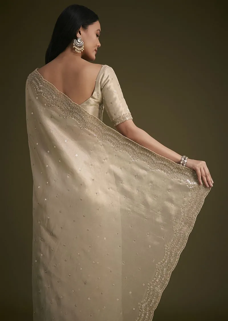 Silver Tissue Saree With Embroidered Border