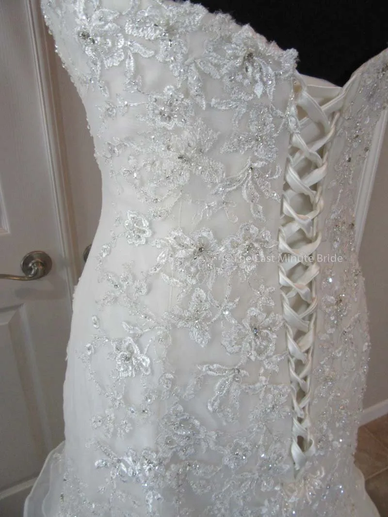 Sophia Tolli Princess Y11628
