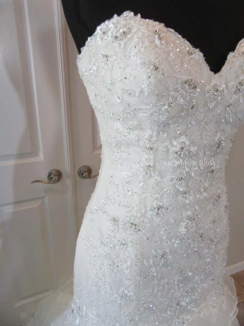 Sophia Tolli Princess Y11628