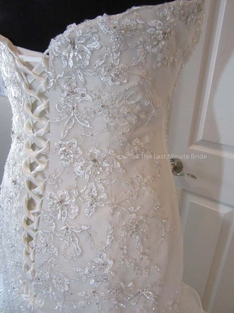 Sophia Tolli Princess Y11628