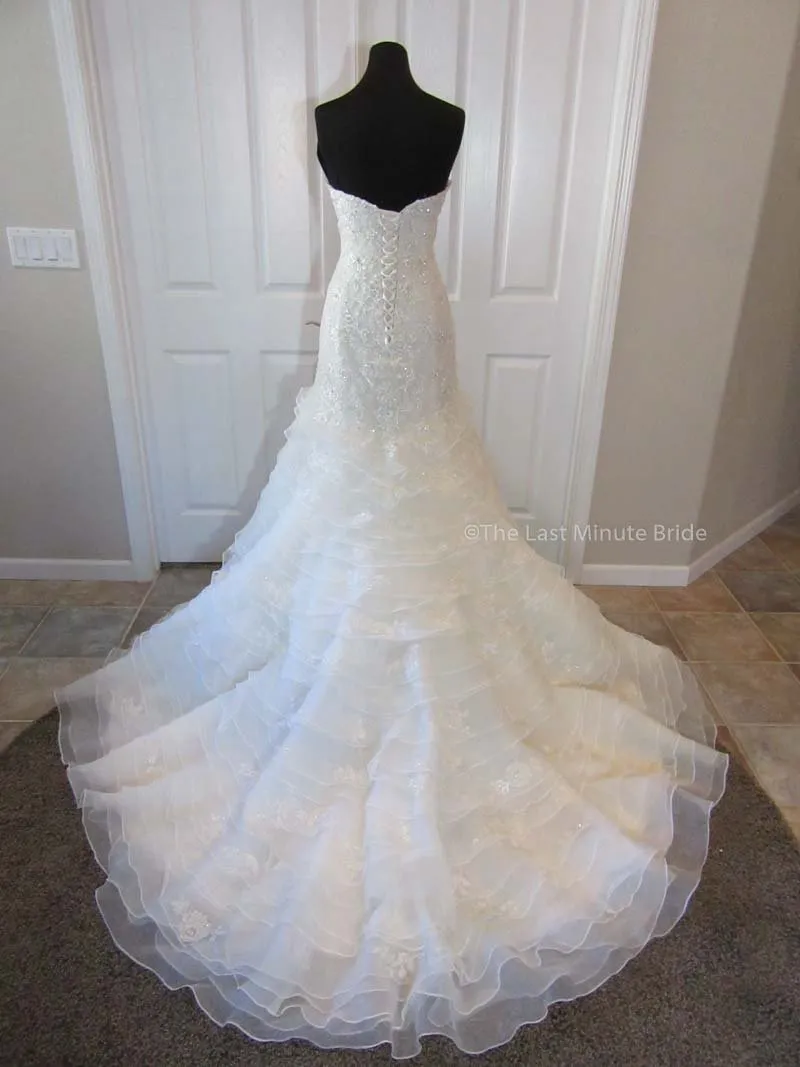 Sophia Tolli Princess Y11628