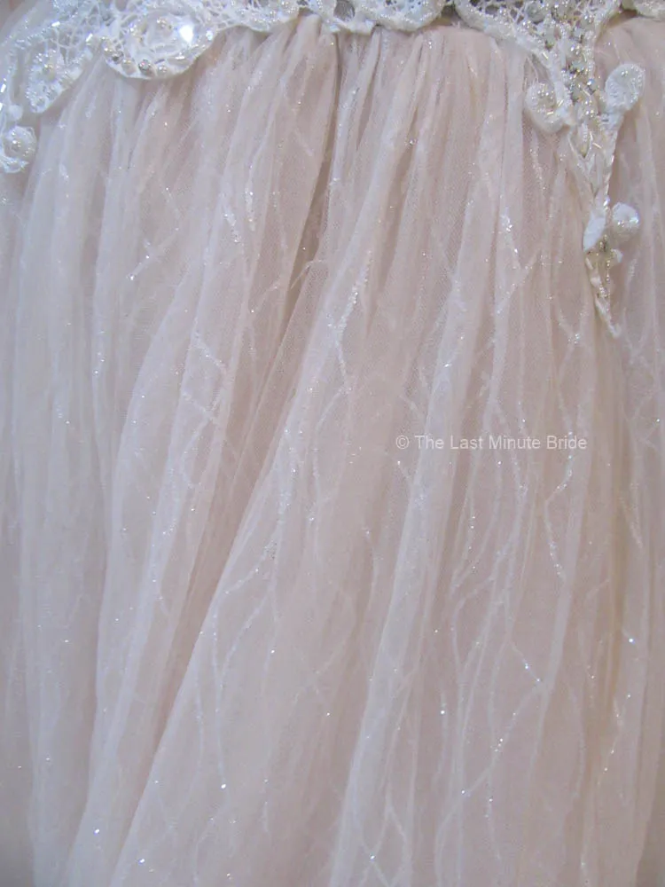 Sottero & Midgley style Tate 20SC261