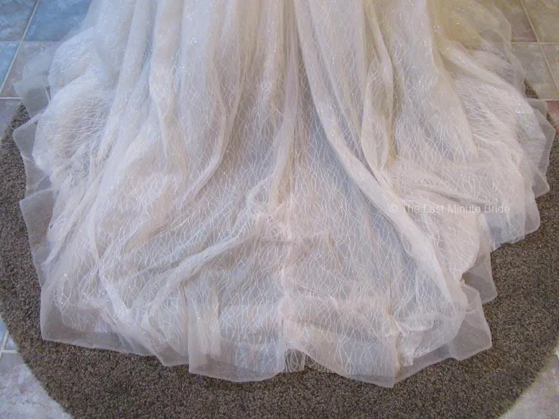Sottero & Midgley style Tate 20SC261