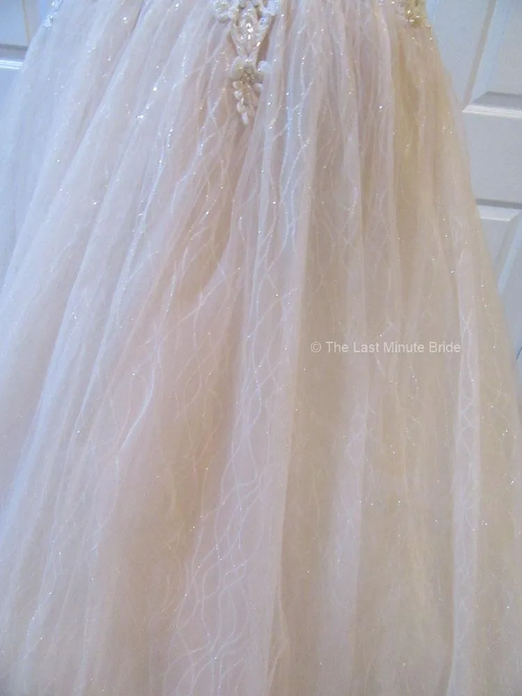 Sottero & Midgley style Tate 20SC261