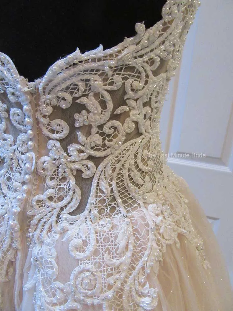 Sottero & Midgley style Tate 20SC261