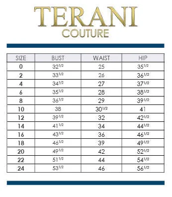 Terani Couture 1721E4122