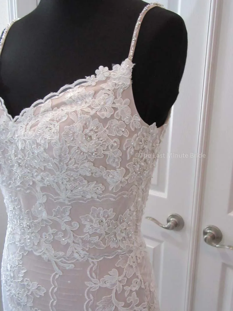 The Last Minute Bride Autumn