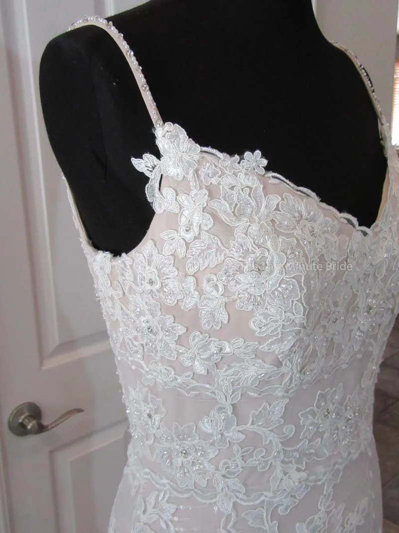 The Last Minute Bride Autumn