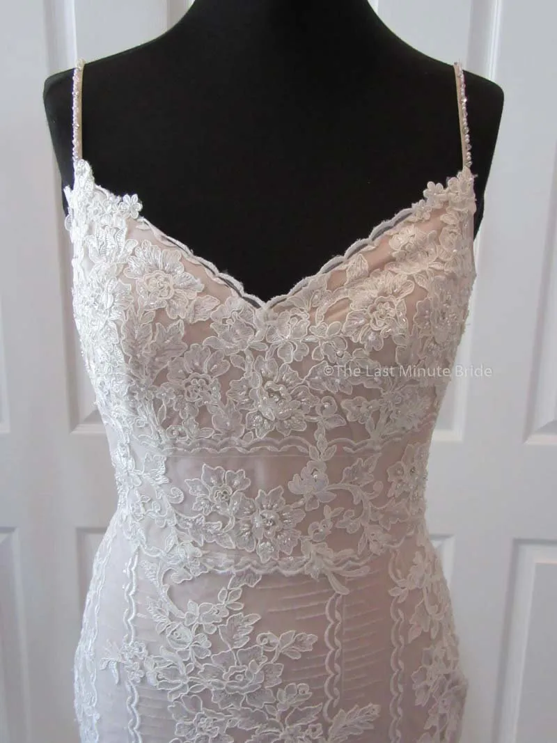 The Last Minute Bride Autumn