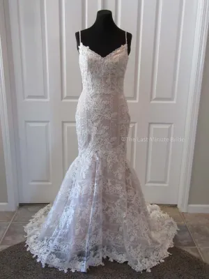 The Last Minute Bride Autumn