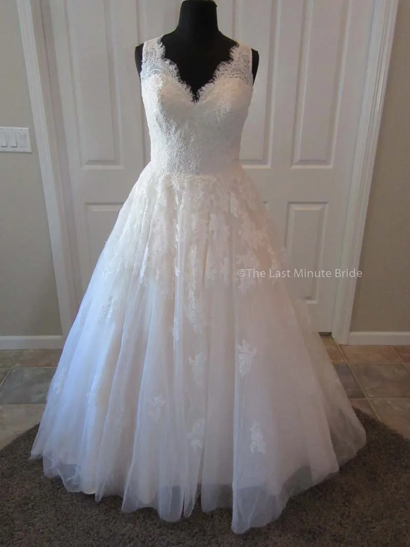 The Last Minute Bride Bella