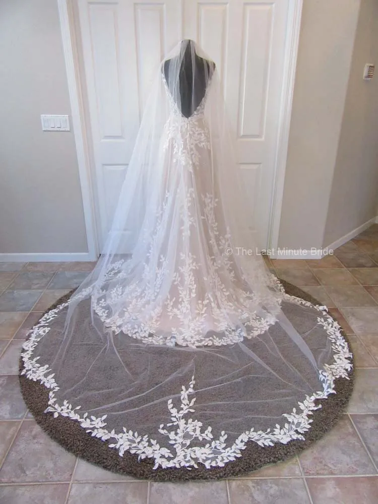 The Last Minute Bride Hollywood