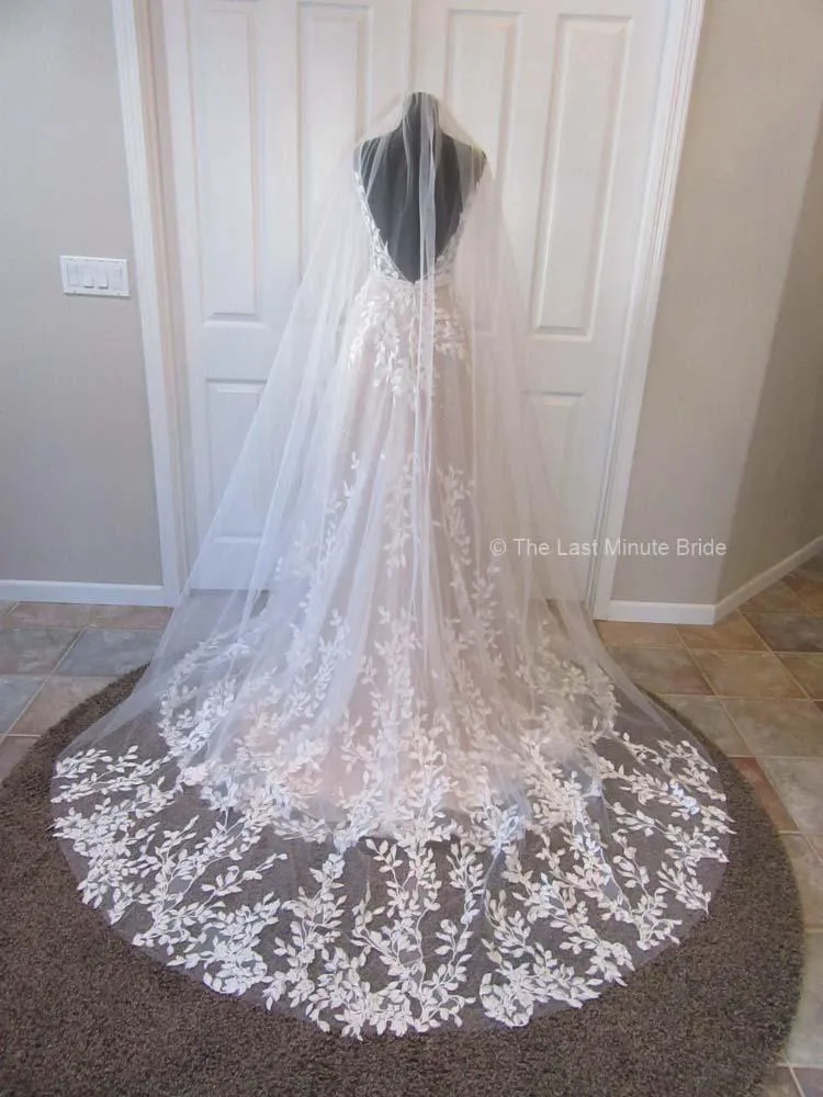 The Last Minute Bride Hollywood