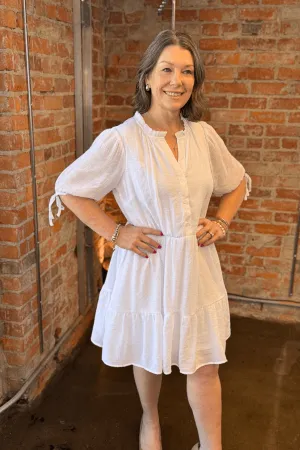 Tie Sleeve Ruffle Neck Dress