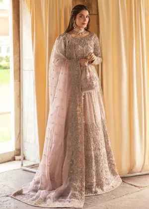 Traditional Pakistani Pink Pishwas Dupatta Party Dress