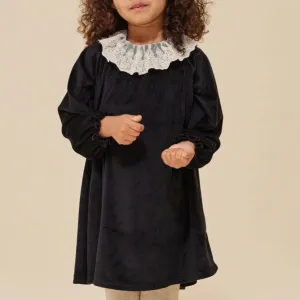 Venola Lace Collared Velvet Dress