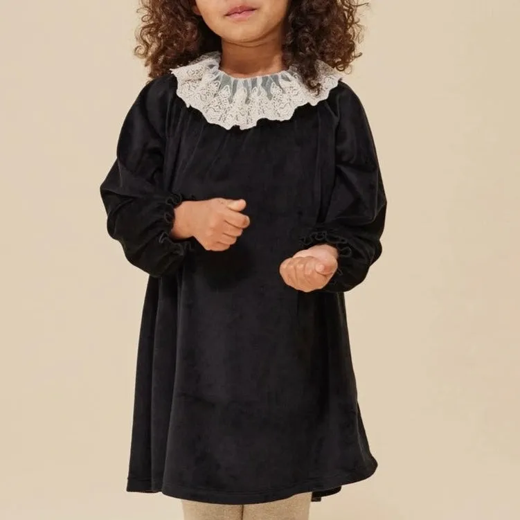Venola Lace Collared Velvet Dress