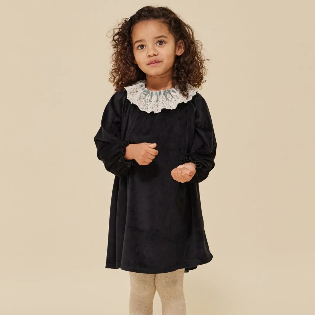 Venola Lace Collared Velvet Dress